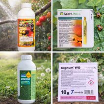 Növényvédő és irtó szerek