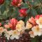 Rododendron 'Horizon Monarch' – Rhododendron 'Horizon Monarch'